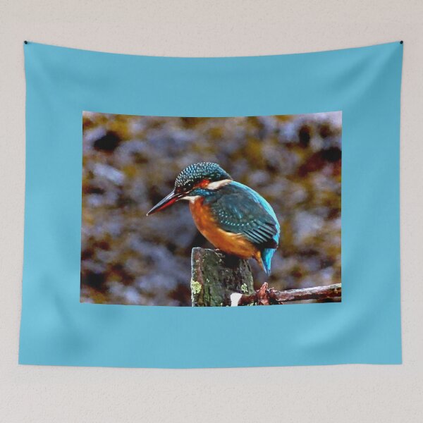 Item preview, FISHING FOR COMPLIMENTS! designed and sold by NICK COBURN PHILLIPS.