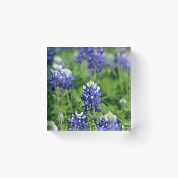 Item preview, The Texas Blue Bonnet designed and sold by Olivia Plasencia.