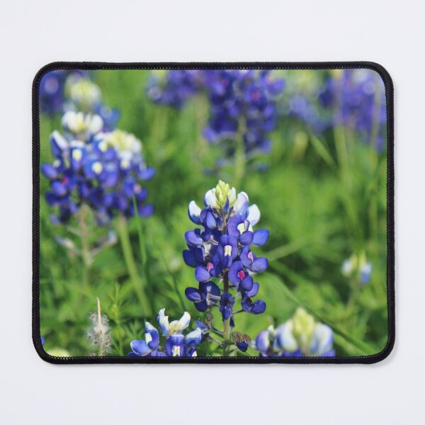 Item preview, The Texas Blue Bonnet designed and sold by Olivia Plasencia.