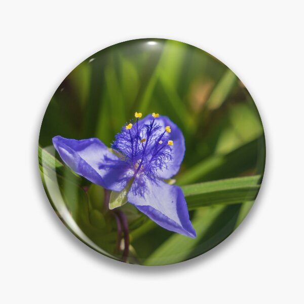 Item preview, Tiny Bluejacket designed and sold by TinyDinoDesigns.