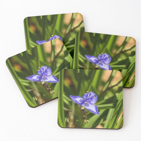Item preview, Tiny Bluejacket designed and sold by TinyDinoDesigns.