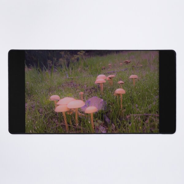 Item preview, Dewy Mushrooms designed and sold by craftsbydaphy.