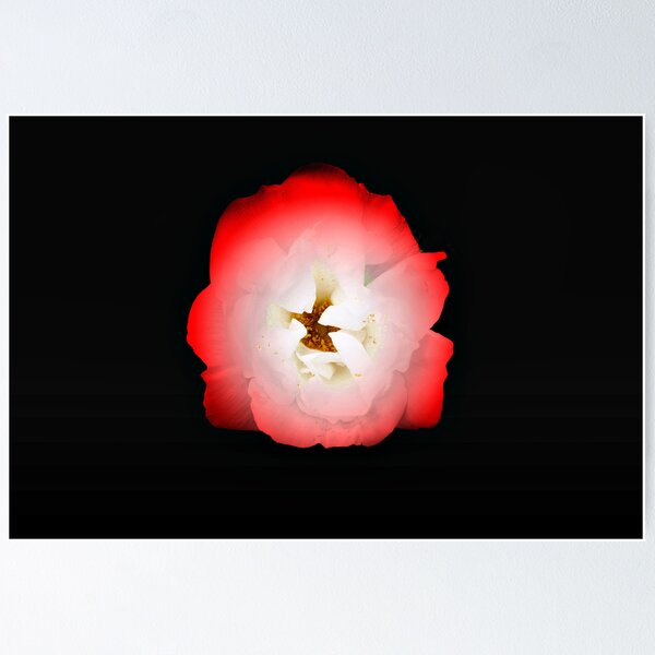 Artikelvorschau, red flower entworfen und verkauft von terrebo.