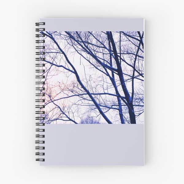 Item preview, Aesthetic winter tree landscape photo |  winter tree branches art photography designed and sold by lausn.