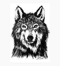 Wolf in ink Photographic Print