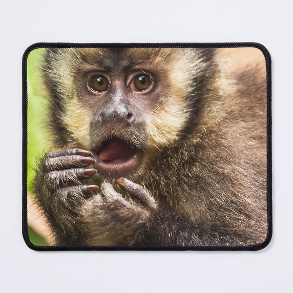 Item preview, What? Surprised monkey. designed and sold by LoboJC.