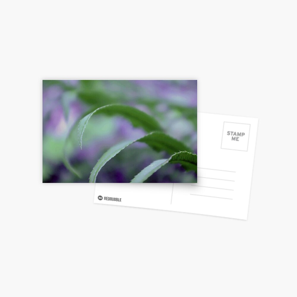 Item preview, Postcard designed and sold by DaogreerEarth.