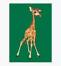 You're Having A Giraffe! Photographic Print