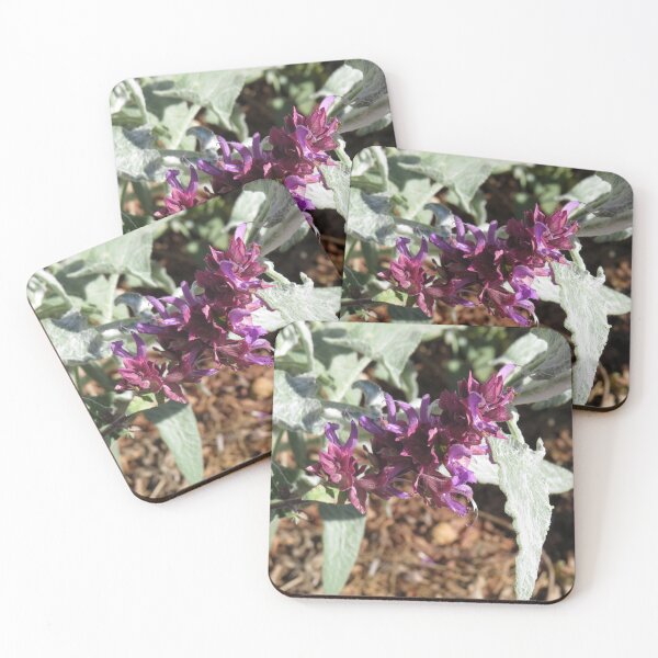 Item preview, Fuzzy leaves and purple flowers designed and sold by greentiger1.