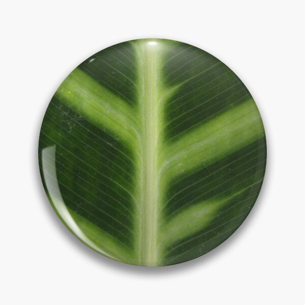 Item preview, Palm Leaf designed and sold by RomeoDionne.