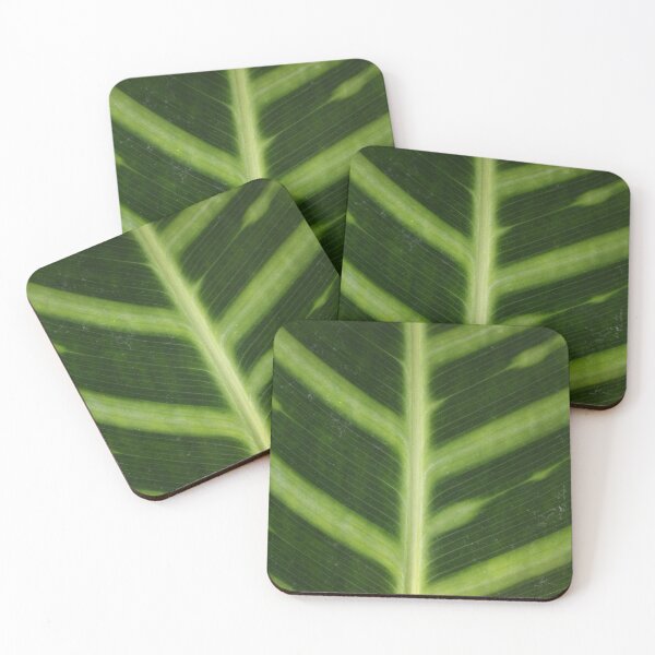 Item preview, Palm Leaf designed and sold by RomeoDionne.