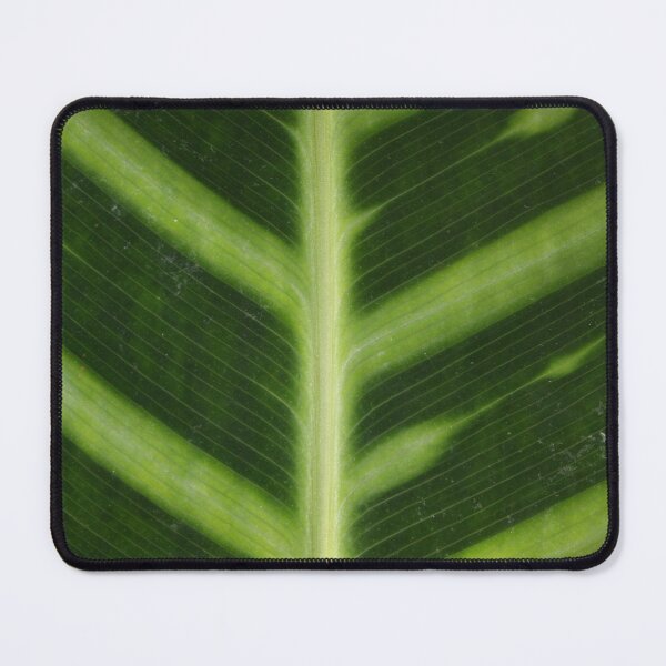Item preview, Palm Leaf designed and sold by RomeoDionne.