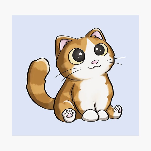 Cute Cat Photographic Print