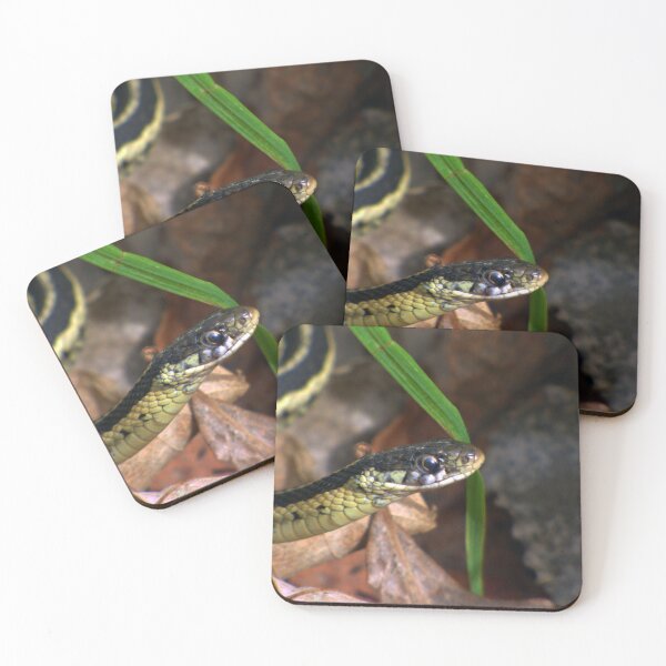 Item preview, Serpiente bebé por Brandon Cable designed and sold by BrandonArtWorld.