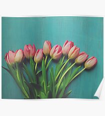 Pink Spring tulips Poster