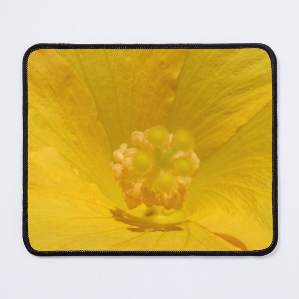Aperçu de l'œuvre Hibiscus Pistil Jaune créée et vendue par SeeGodAroundUs.