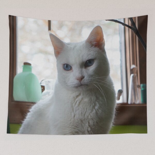 Item preview, White Cat Portrait designed and sold by Nalinne Jones.
