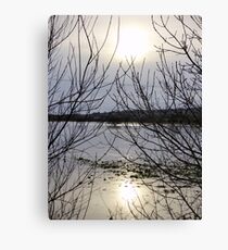 viewpoint Canvas Print