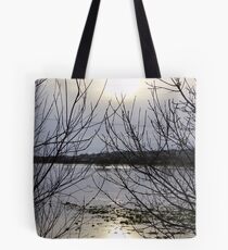 viewpoint Tote Bag