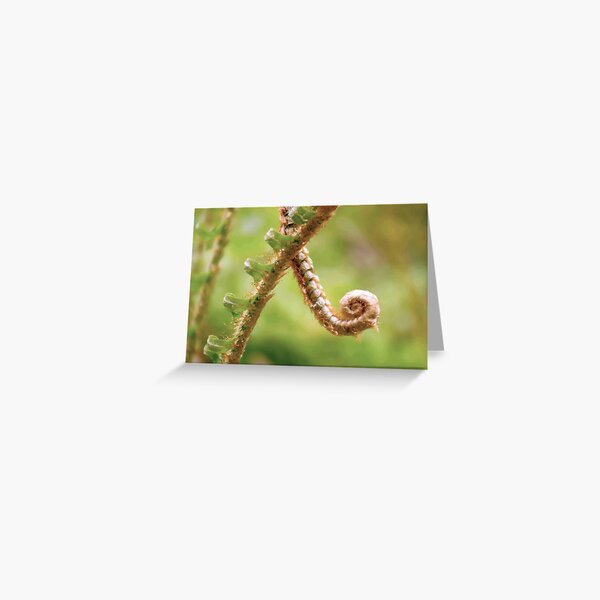 Item preview, Acute Little Fern designed and sold by Daogreer Earth Works.