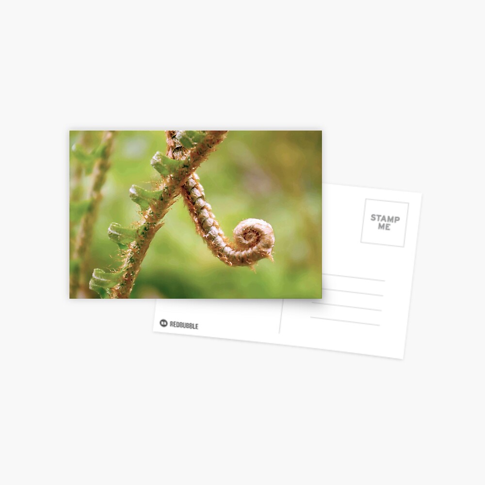 Item preview, Postcard designed and sold by DaogreerEarth.