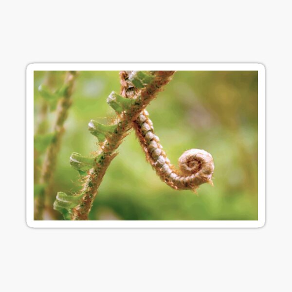Item preview, Acute Little Fern designed and sold by Daogreer Earth Works.