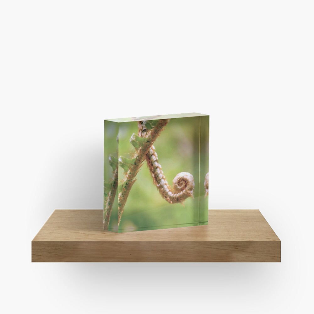 Item preview, Acrylic Block designed and sold by DaogreerEarth.