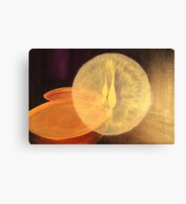OIL LAMPS Canvas Print