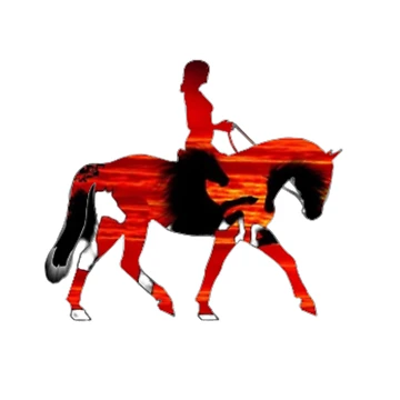 Artwork thumbnail, Sunset Rider by HanaiPrint