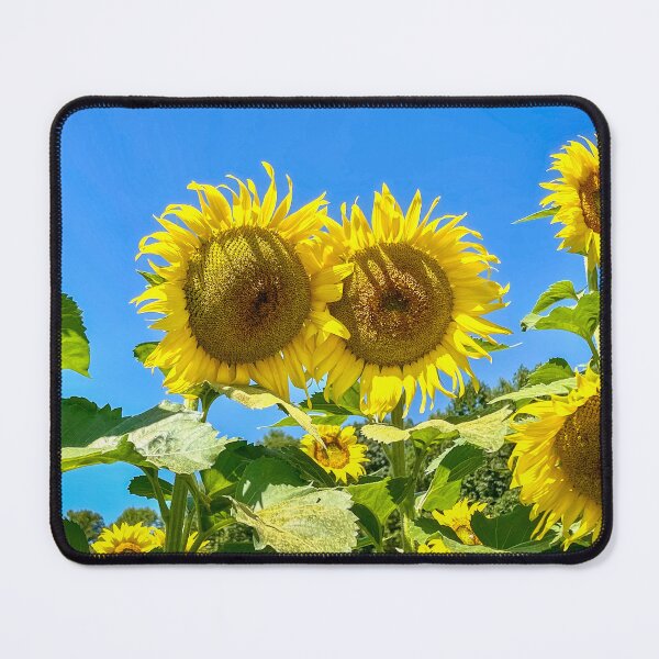 Item preview, Sunflower Friends designed and sold by Craig Kauzmann.