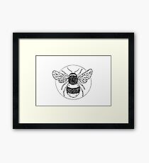 Bumble bee illustration Framed Print