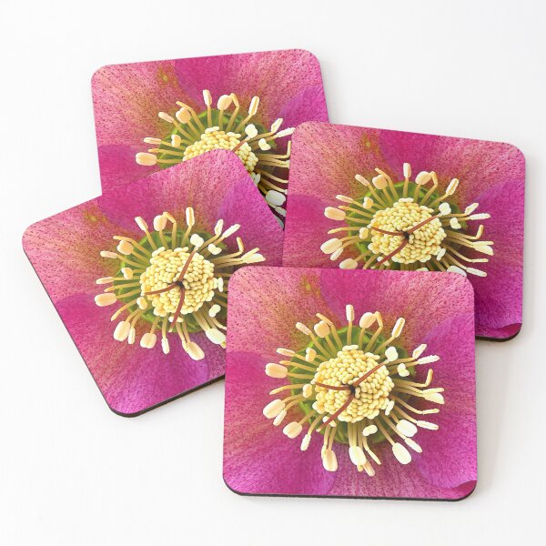 Item preview, Helleborus closeup designed and sold by angel1.