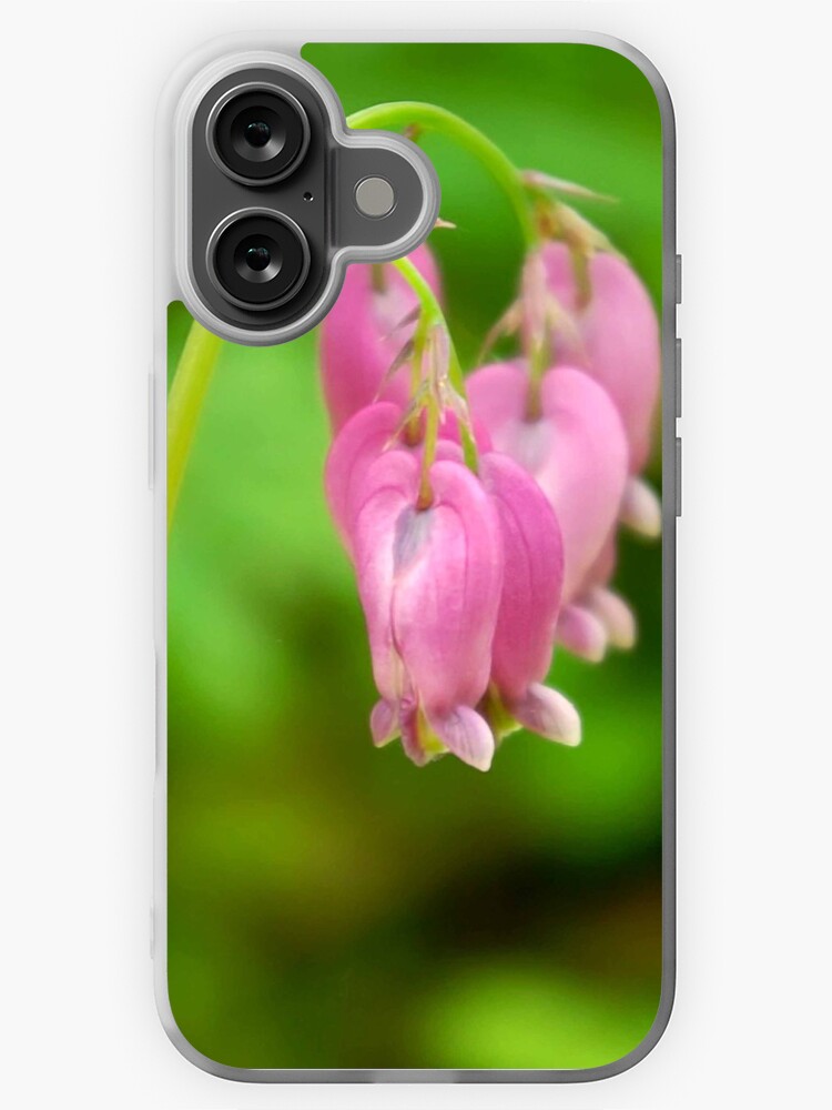 Thumbnail 1 of 5, iPhone Case, Bleeding Heart designed and sold by DaogreerEarth.