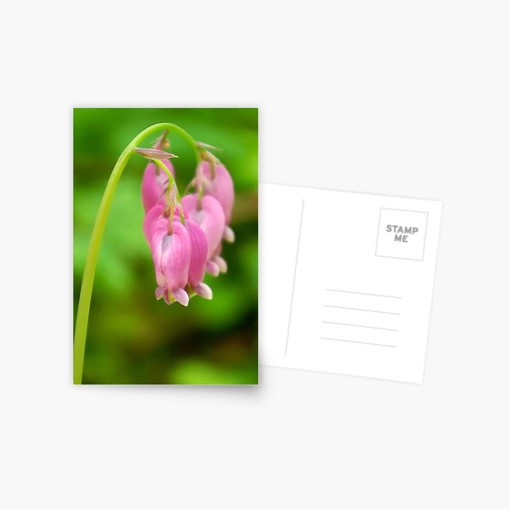 Item preview, Postcard designed and sold by DaogreerEarth.