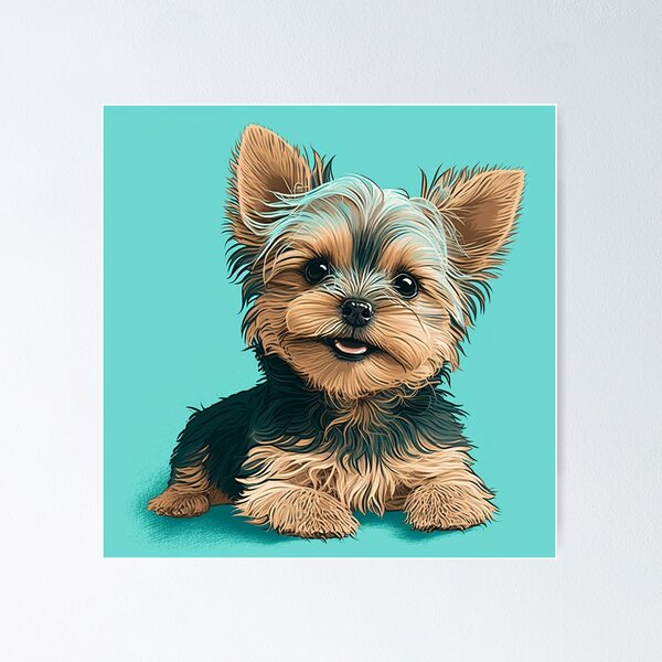 Pastor Inglês e Yorkshire Terrier – Item: 1046