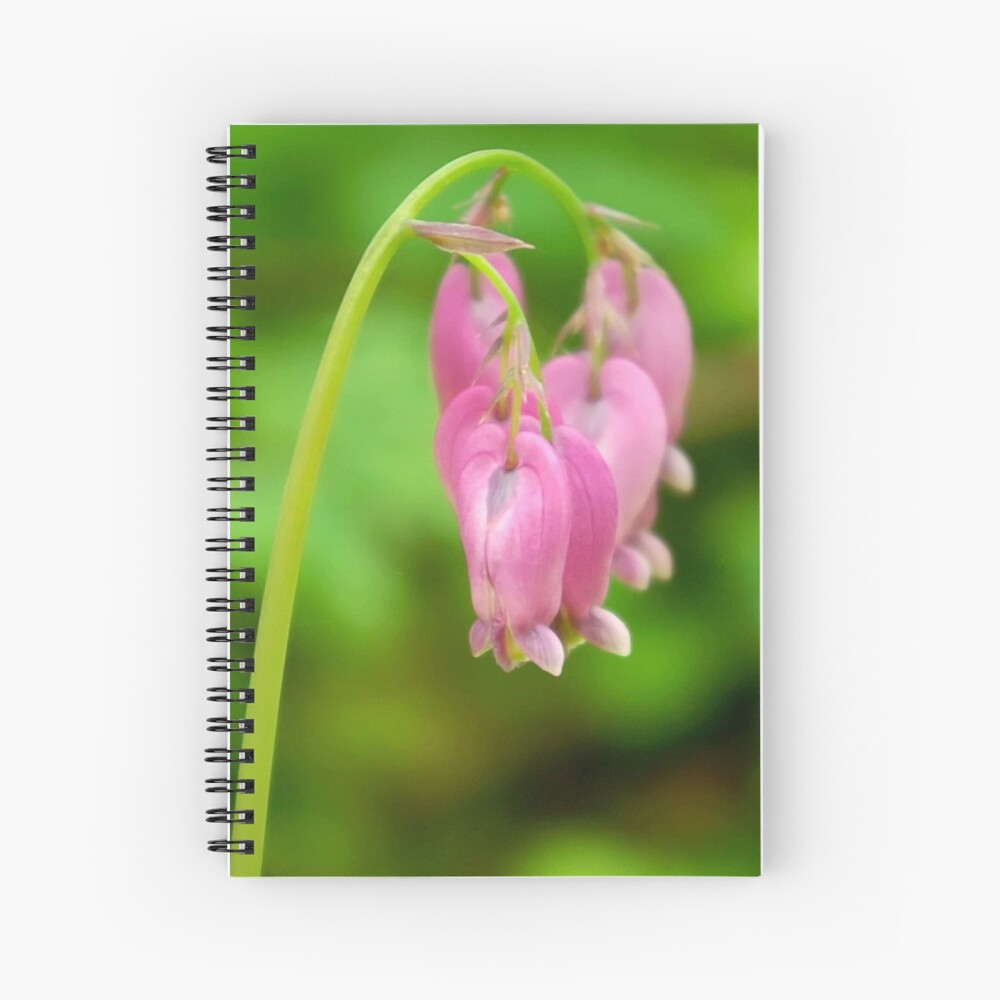 Item preview, Spiral Notebook designed and sold by DaogreerEarth.