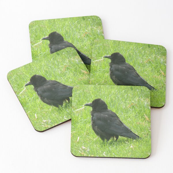 Item preview, Bad Hair Day Crow Photograph designed and sold by naturegallery.