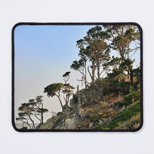 Item preview, Trees Along the Cliff to the Shore designed and sold by Martha Sherman.