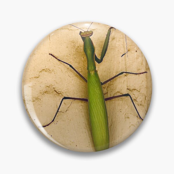 Item preview, The Queen Manti designed and sold by N2nature.