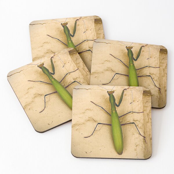 Item preview, The Queen Manti designed and sold by N2nature.