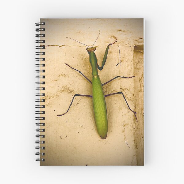 Item preview, The Queen Manti designed and sold by N2nature.