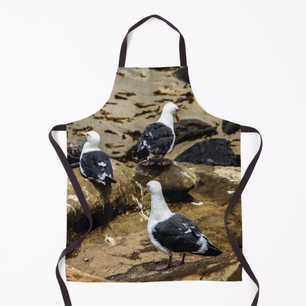 Item preview, Three La Jolla Cove Seagulls designed and sold by heatherfriedman.