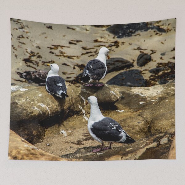 Item preview, Three La Jolla Cove Seagulls  designed and sold by heatherfriedman.