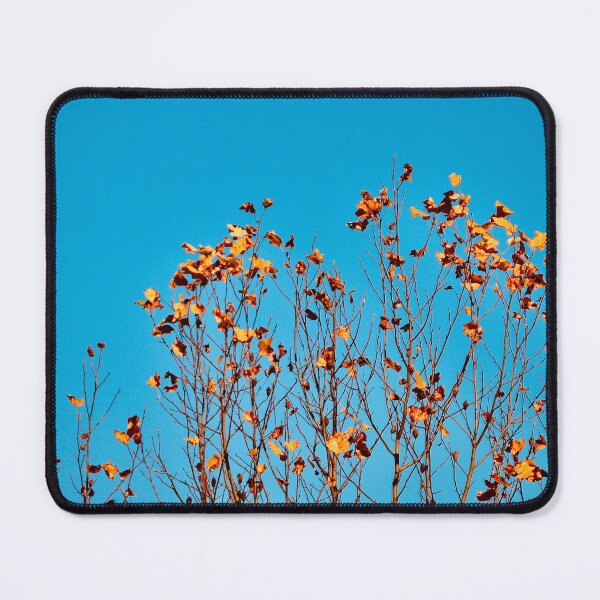 Item preview, Bell Curve designed and sold by Tessia Photography.