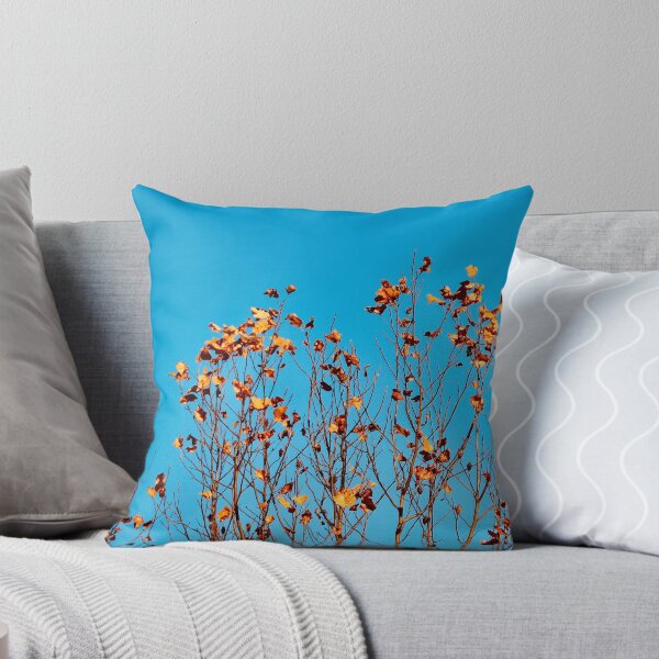 Item preview, Bell Curve designed and sold by Tessia Photography.