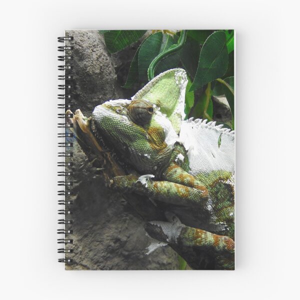 Item preview, Chameleon designed and sold by kirstybush.