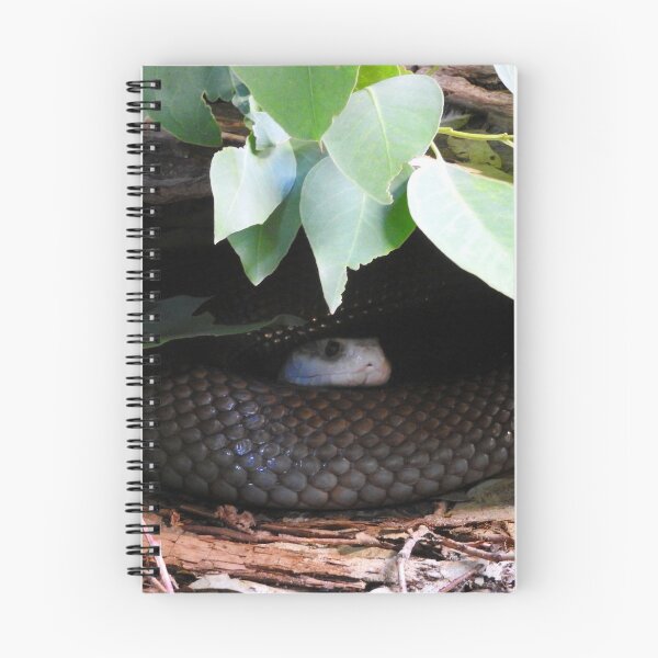 Item preview, Coastal Taipan designed and sold by kirstybush.