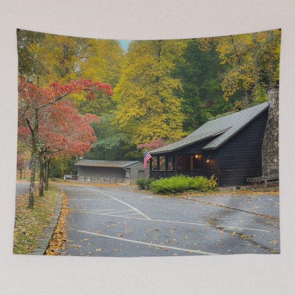 Aperçu de l'œuvre Fall in Vogel State Park créée et vendue par Craig Kauzmann.