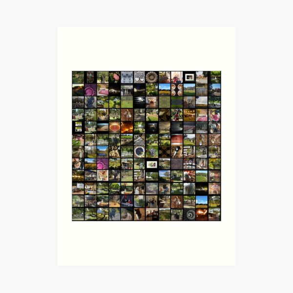 Art Print