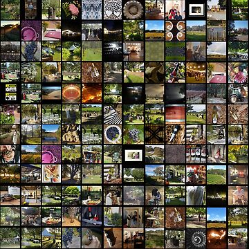 Artwork thumbnail, Images at Magpie Springs by Adelaide artist Avril Thomas by MagpieSprings